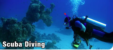 Person Scuba Diving Near Coral Holding an Underwater Camera