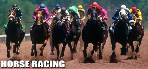 Horse race betting, online horse betting, horse racing picks