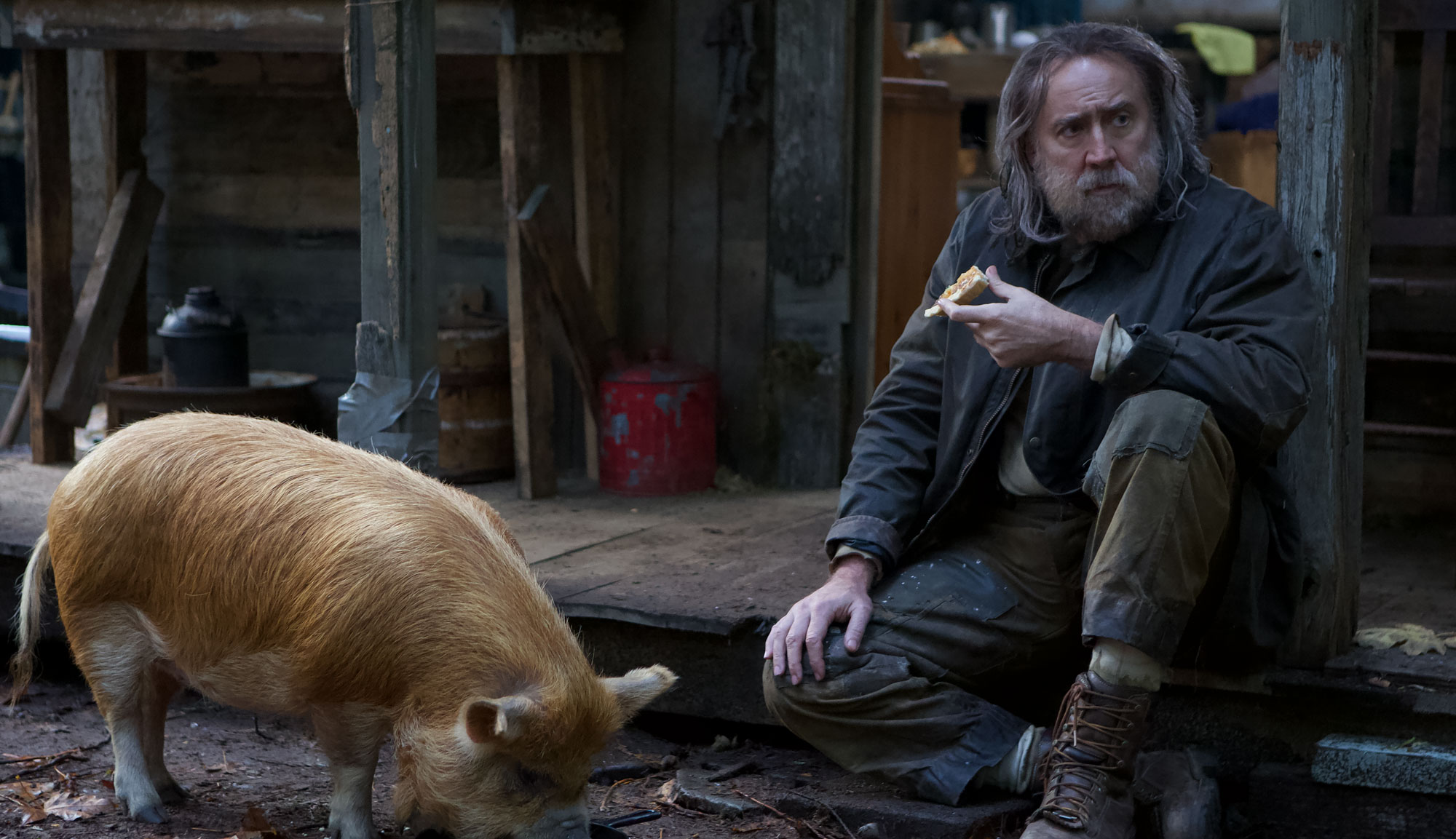 Nicolas Cage in "Pig"