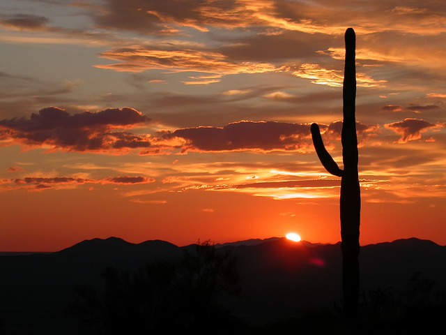 Arizona sunset in the desert