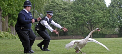 Movie Review: Hot Fuzz