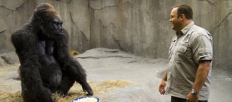 Movie Review: Zookeeper