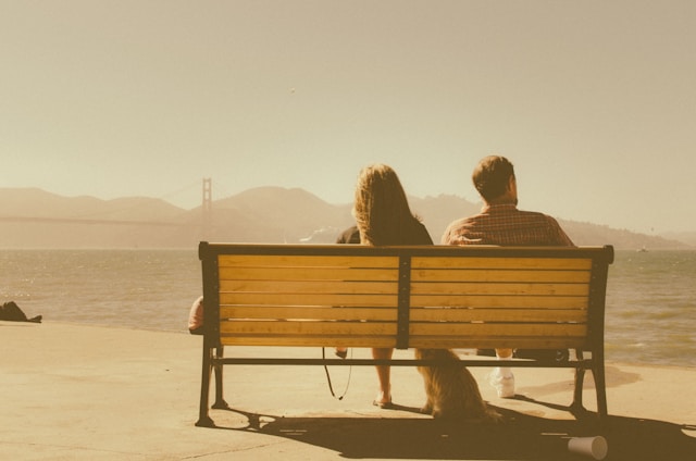 rear view of woman and man sitting on bench with vintage feel