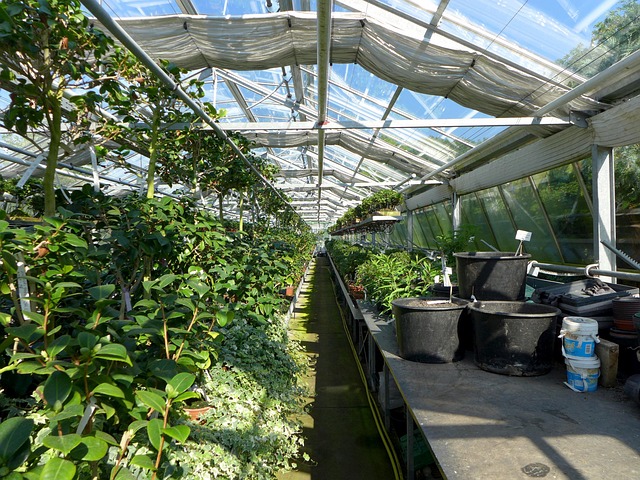 greenhouse