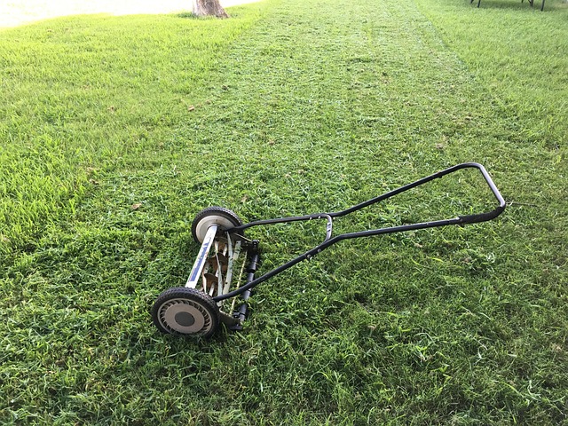 old fashioned lawn mower on grass