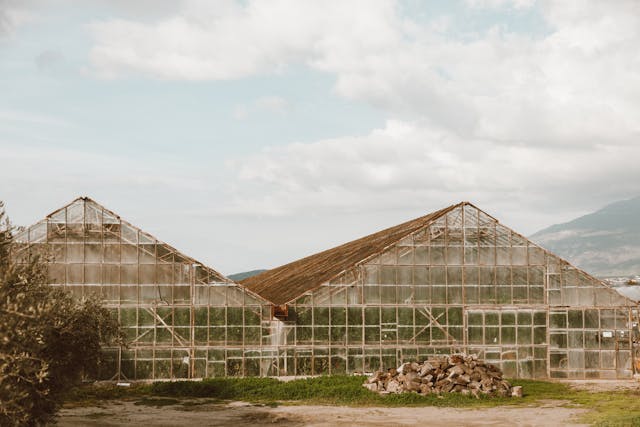 greenhouse