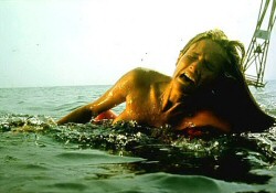 Jaws