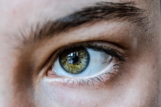 closeup of woman's green eye and eyelashes