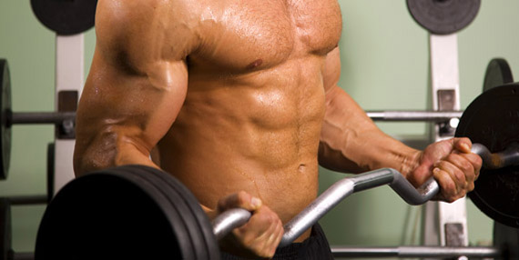 closeup of man's torso and abs hlding a curling bar