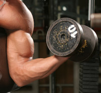closeup of man's arm holding dumbell