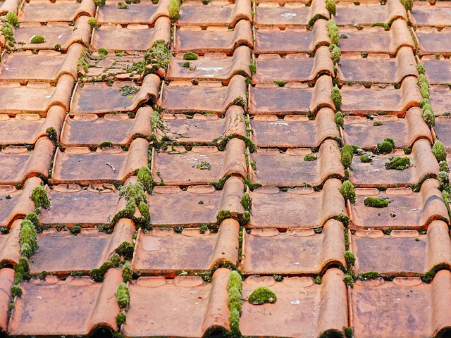 closeup of tiles on roof