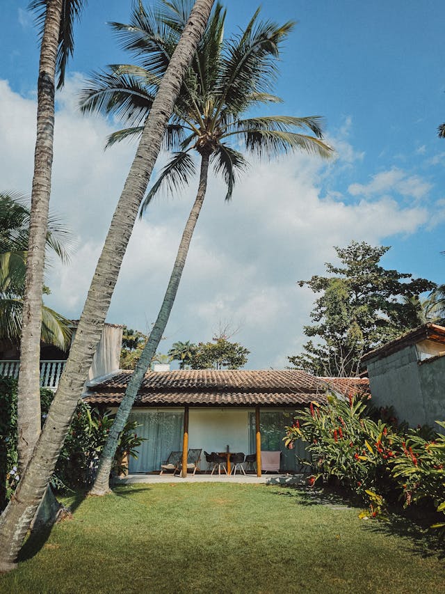 tropical house with palm trees