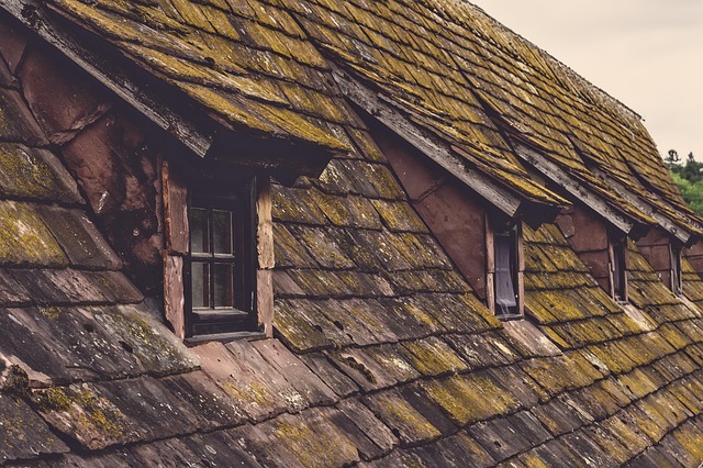 roof shingles on old house