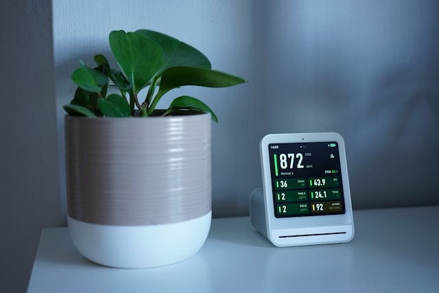 plant and electronic device on table