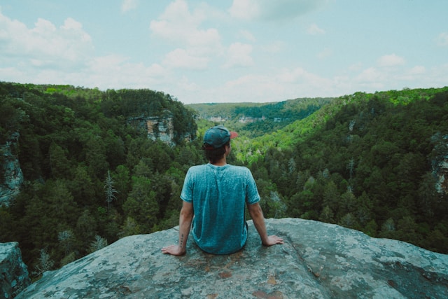 rear view of man sitting on a rock looking out at nature