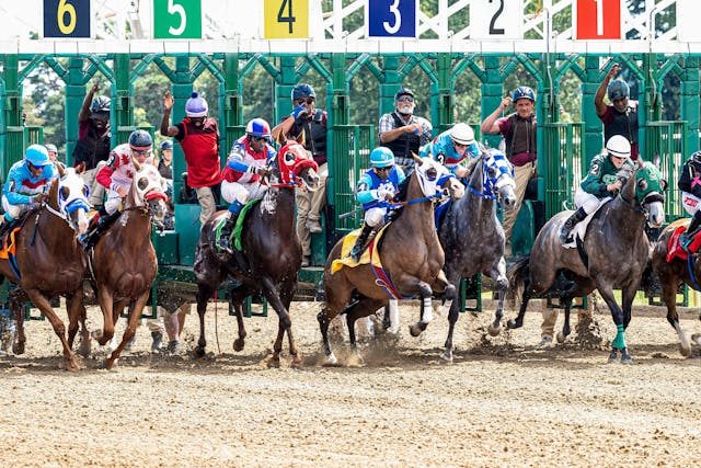 race horses coming out of starting gate