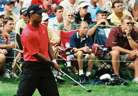 Tiger Woods Firestone