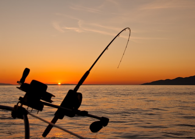 fishing line with water and sunset in background