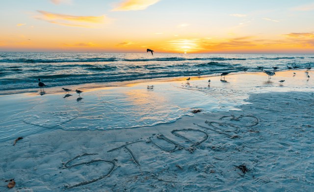 sunrise in Siesta Key Florida on beach