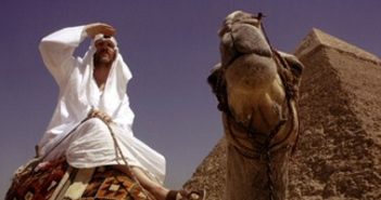 Movie Review: Where in the World is Osama Bin Laden?