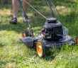 lawn mower