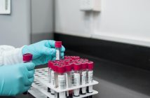 lab