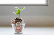 How Early Planning Helps Build Strong Financial Security for Retirement coins in a glass with a plant