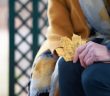 person holding leaf