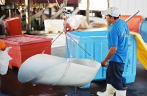 worker in blue shirt