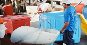 worker in blue shirt