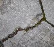 cracked concrete