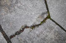 cracked concrete