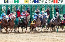 race horses coming out of starting gate