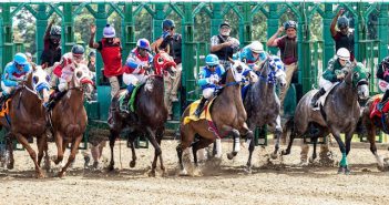 race horses coming out of starting gate