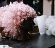 wig with pink and curly hair