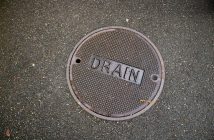 sewer drain cover