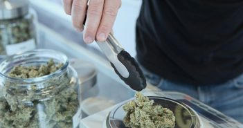 cannabis