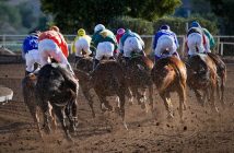 horses racing on track rear view