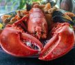 lobster dinner on a plate